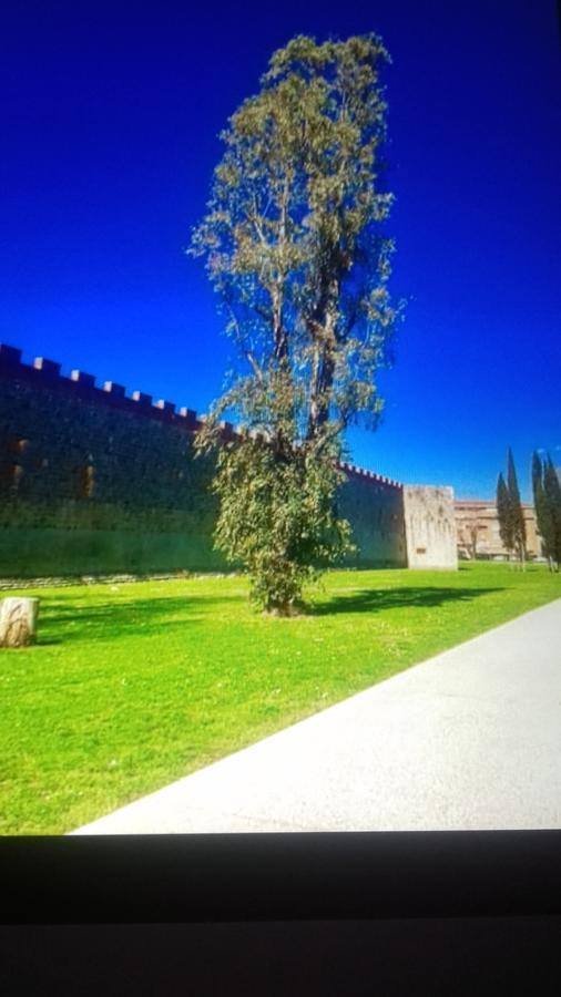 Gino'S House Hotel Pisa Exterior photo